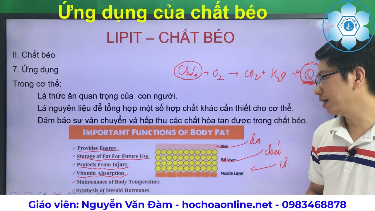Ứng dụng của chất béo trong cuộc sống Gallery 2