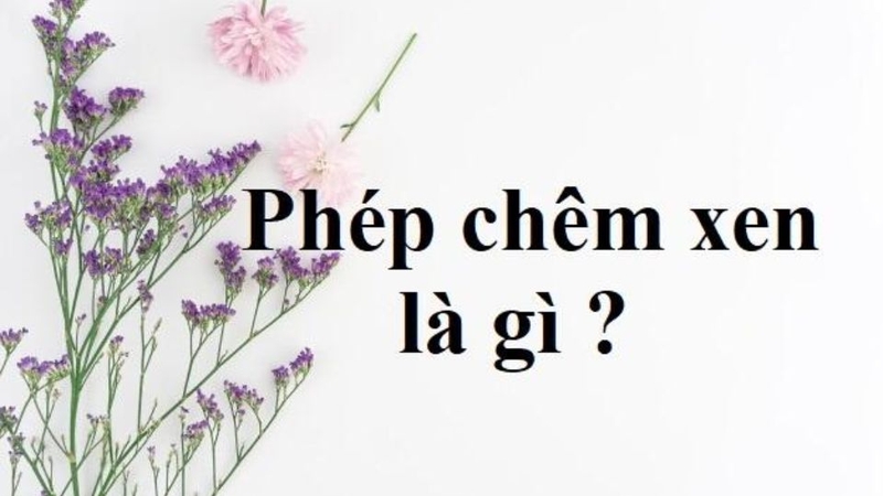 Chêm xen là gì? Gallery 1
