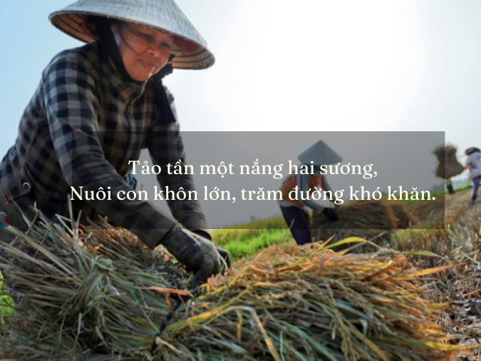 Dãi nắng dầm sương Gallery 2