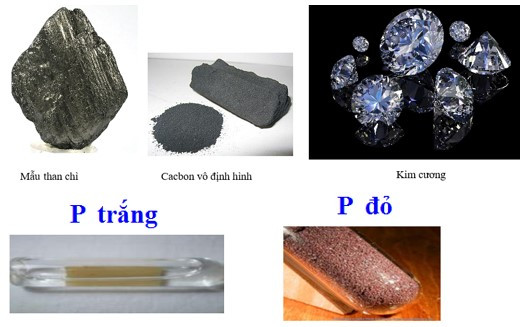 Dạng Thù Hình Của Một Nguyên Tố Là Gì? Gallery 2