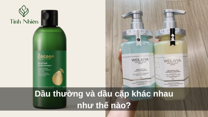 Dầu Cặp Là Gì? Gallery 1