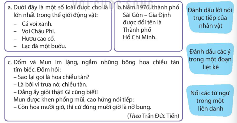 Dấu Gạch Ngang Trên Đầu Số Là Gì? Gallery 1