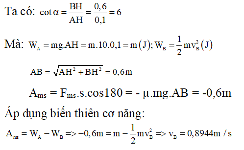 Độ Biến Thiên Cơ Năng Gallery 2