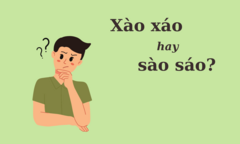 Đông Duổi Hay Rong Ruổi? Gallery 2