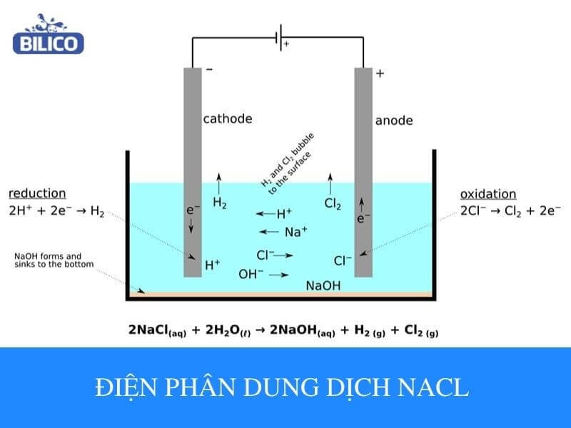 NaCl + H2O ra gì? Gallery 2