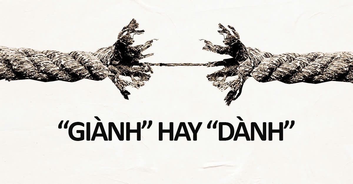 Giành Cho: Hướng Dẫn Chi Tiết và Tổng Quan Gallery 2