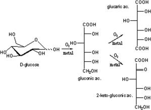 Quá Trình Chuyển Hóa Glucose thành Gluconic Acid Gallery 2
