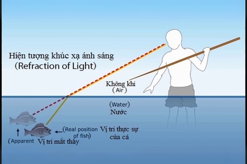 Hiện tượng khúc xạ là hiện tượng gì? Gallery 2