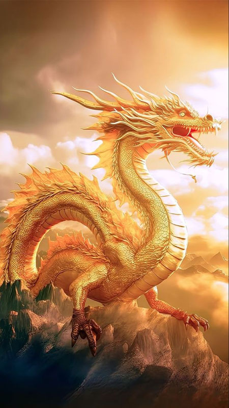 Hình Con Rồng Ngầu Gallery 2