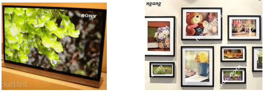 Trong Hình Chữ Nhật Gallery 2