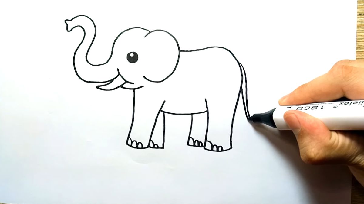 Hình Vẽ Con Voi Đẹp Gallery 2