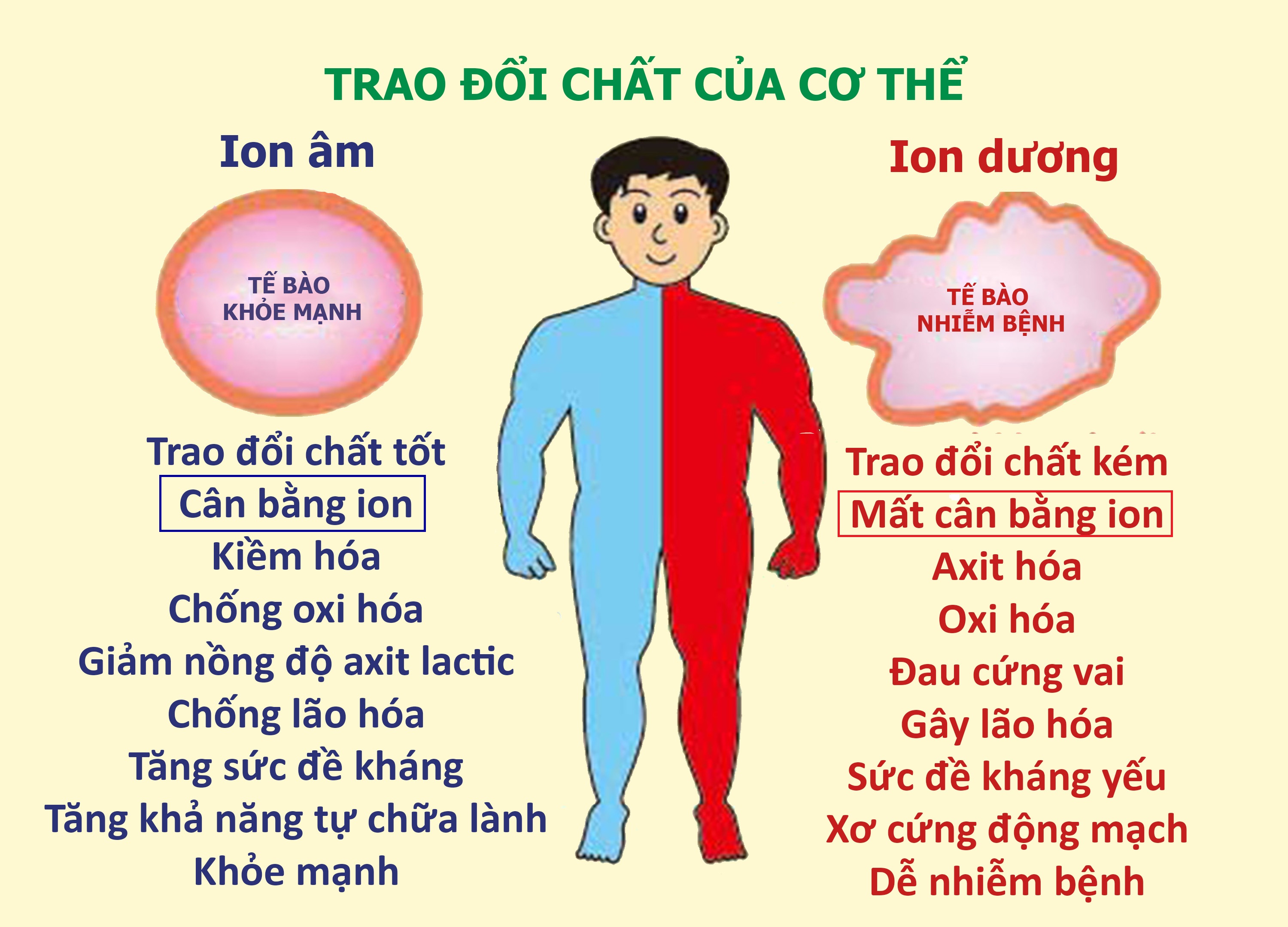 Ion âm gọi là gì? Gallery 2