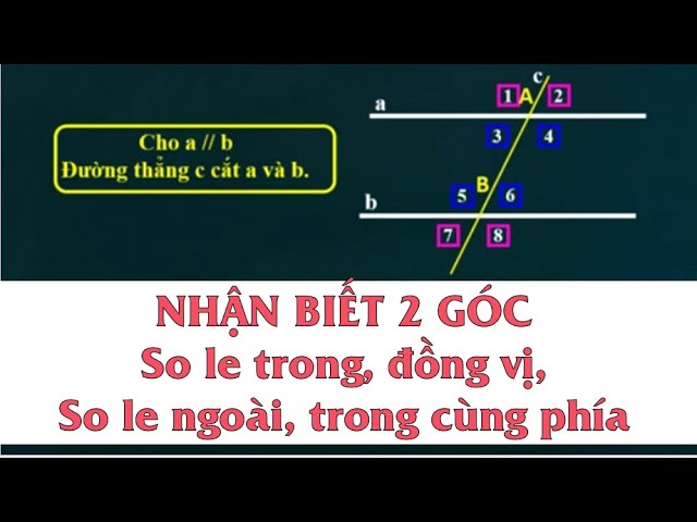 Đối Đỉnh Là Gì? Gallery 2