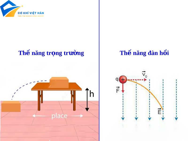 Trường Thế Là Gì? Gallery 2
