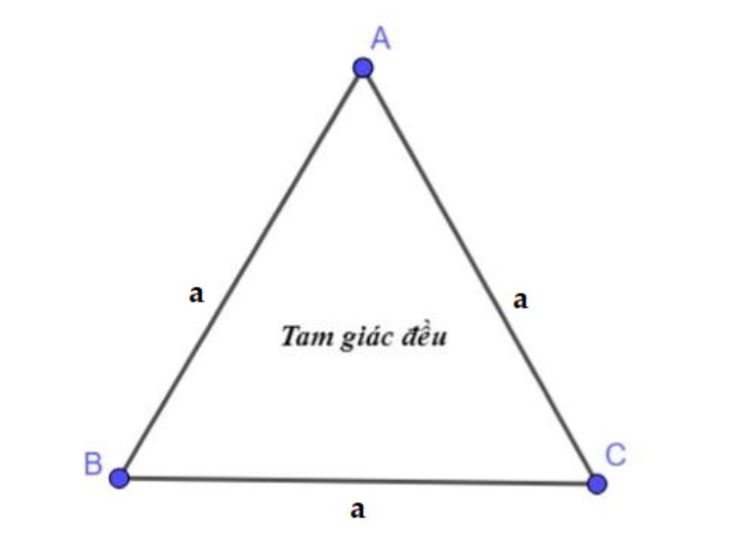 Ký hiệu chu vi của tam giác Gallery 2