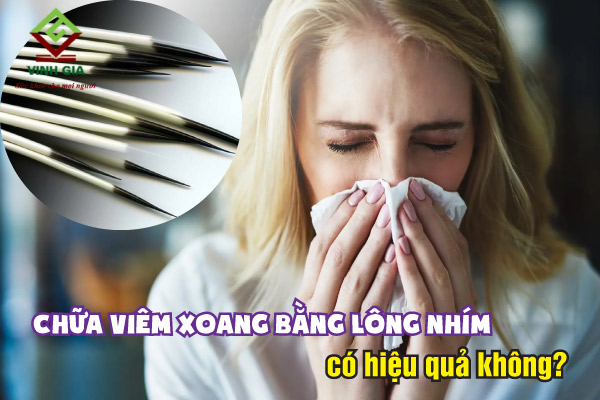 Tác dụng của lông nhím Gallery 2