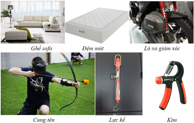 Lực Đàn Hồi Gallery 2