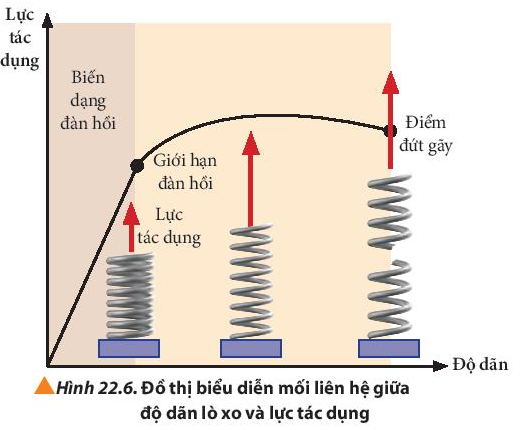 Tính Lực Đàn Hồi Gallery 2