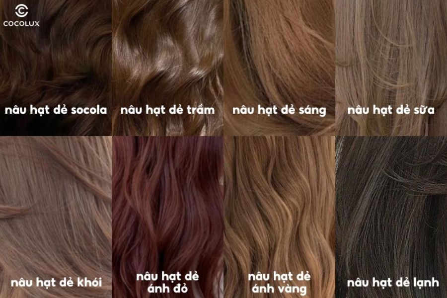 Bảng Màu Nâu Hạt Dẻ Gallery 2