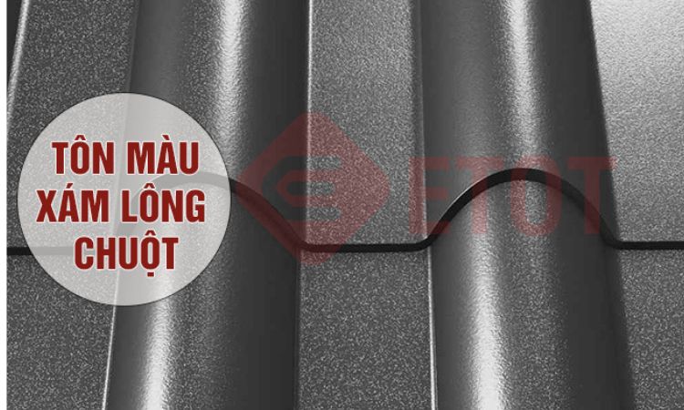 Màu Xám Lông Chuột Gallery 1
