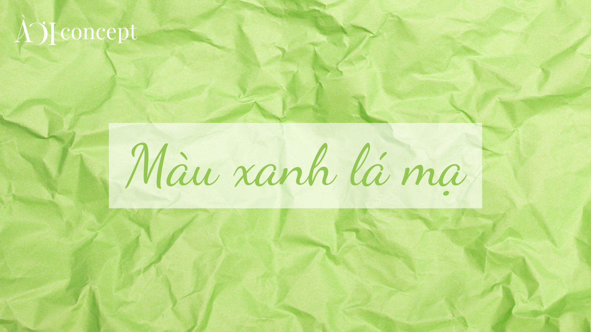 Màu Xanh Mạ Non Gallery 1