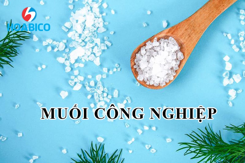 Muối Công Nghiệp Là Gì? Gallery 1