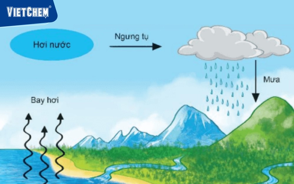 Ngưng tụ hơi nước là gì? Gallery 2