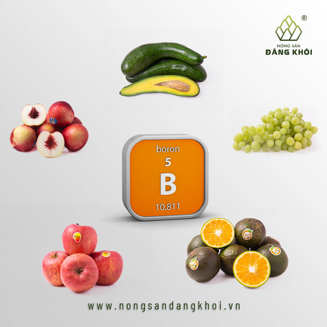 Nguyên tố Bo là gì? Gallery 2