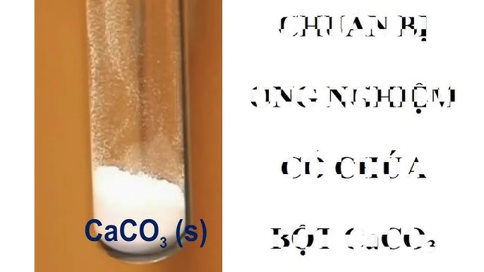 Phản ứng giữa Calcium Carbonate và Hydrochloric Acid Gallery 2