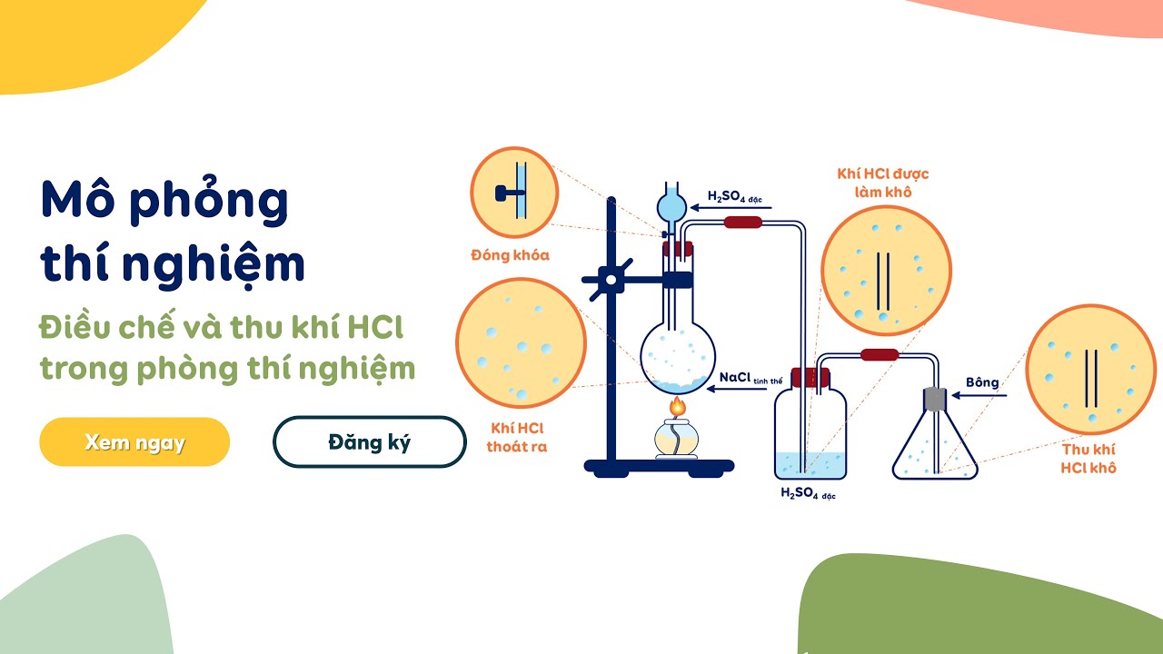 H2SO4 + NaCl + H2O: Phản ứng, sản phẩm và ứng dụng Gallery 2