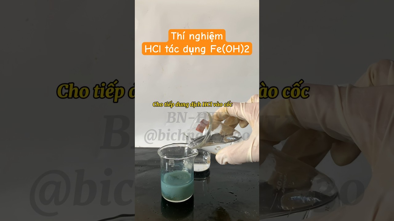 HCL Fe(OH)2 Gallery 2