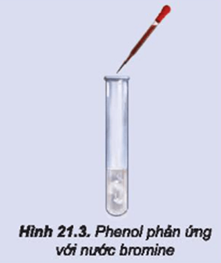 Phản ứng của Phenol với Nước Brom Gallery 2