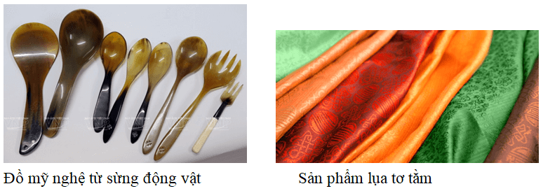 Ứng dụng của Protein trong cuộc sống Gallery 2