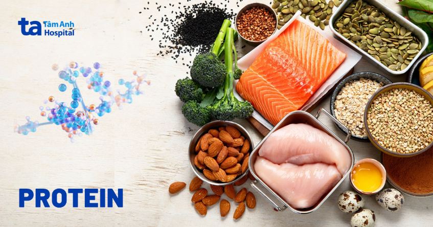 Ứng dụng của Protein trong cuộc sống Gallery 1