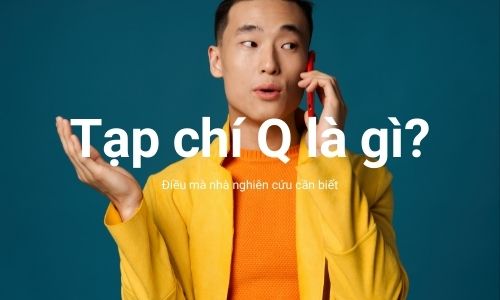 Q1 Q2 Q3 Q4 là gì? Gallery 2