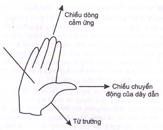 Quy tắc bàn tay phải xác định cảm ứng từ Gallery 1