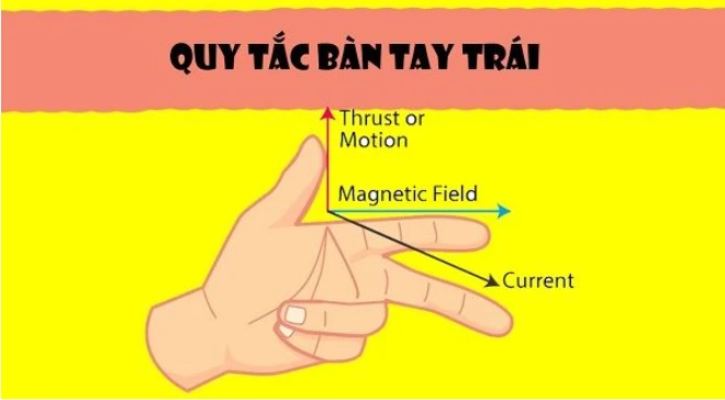 Quy tắc bàn tay trái lớp 11: Xác định lực từ, chiều dòng điện và cảm ứng từ Gallery 1
