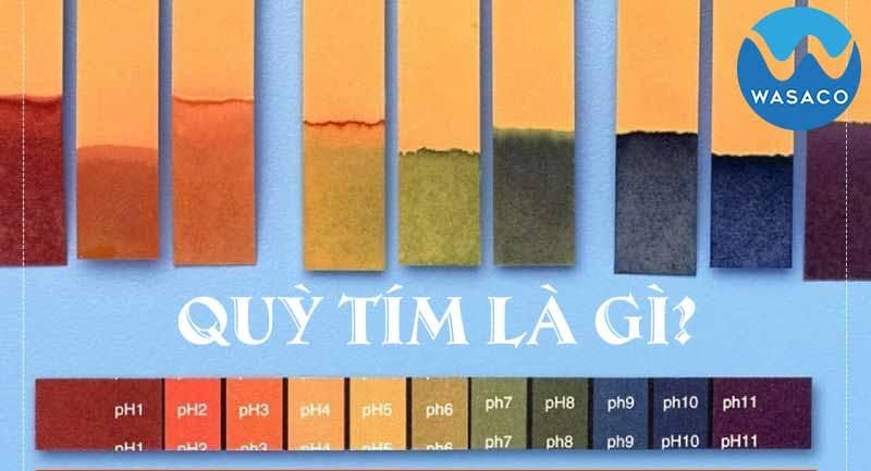 Kí hiệu hóa học của quỳ tím Gallery 2