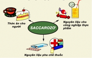 Ứng dụng của Saccarozơ trong cuộc sống và công nghiệp
