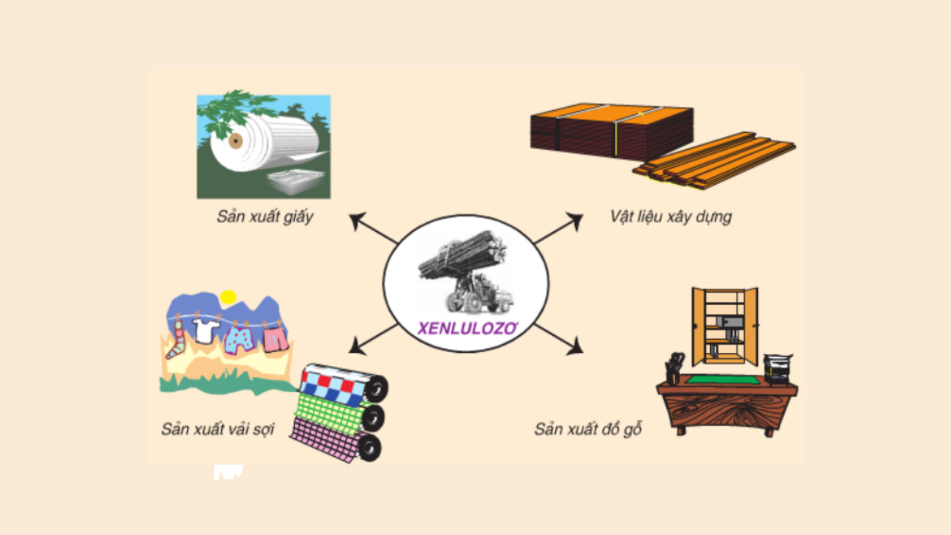 Xenlulozơ tác dụng với HNO3 Gallery 2