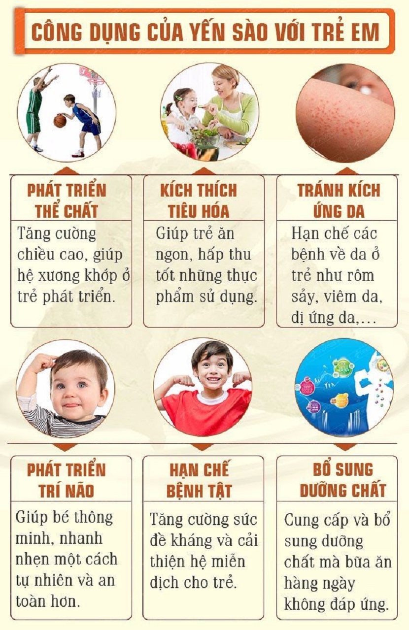 Sào là gì? Các loại sào phổ biến và ứng dụng Gallery 2