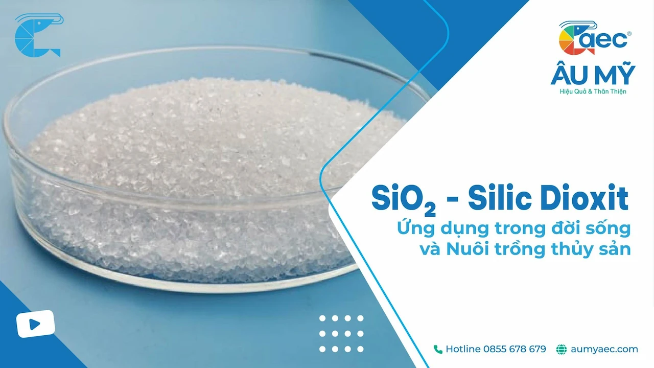SiO2 đọc là gì? Gallery 2