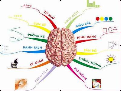 Sơ Đồ Hình Người: Hướng Dẫn Chi Tiết & Ứng Dụng Gallery 2