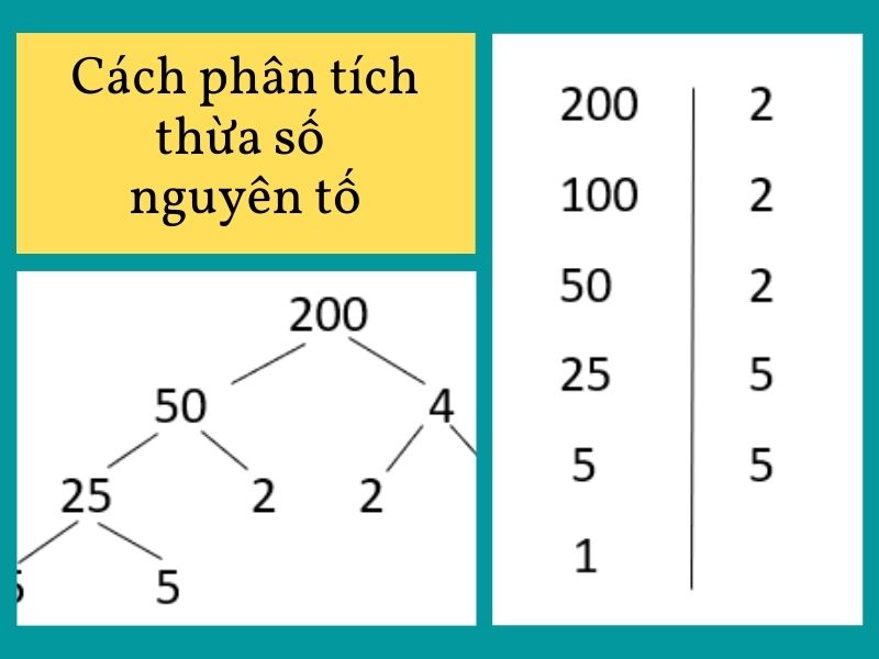 Ký hiệu số nguyên tố là gì? Gallery 2