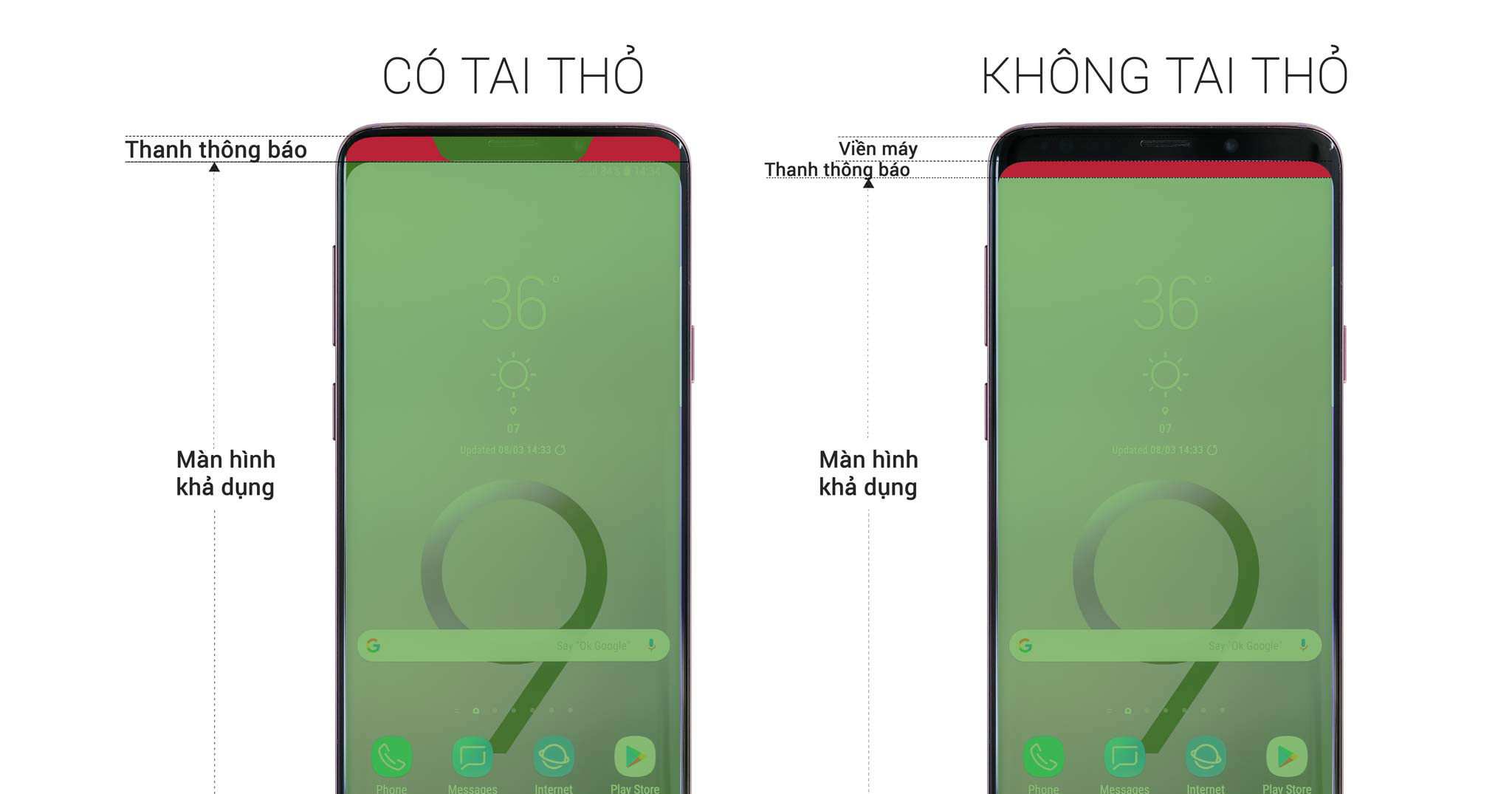 Tai Thỏ Là Gì? Gallery 2