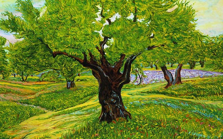 Tàn Cây Hay Tàng Cây? Gallery 2
