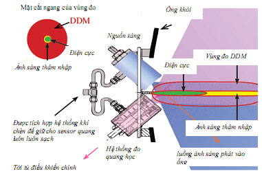 Tán Xạ Là Gì? Gallery 2