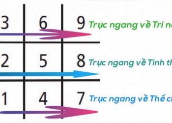 Thần Số Học Wiki Gallery 2