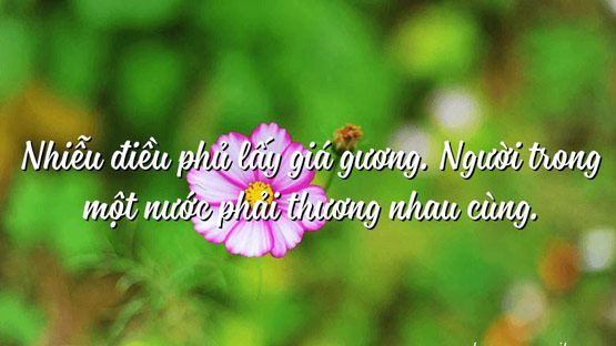 Nhiễu điều phủ lấy giá gương Gallery 2