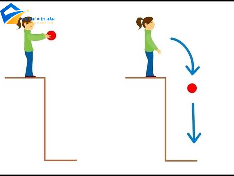 Thế Năng Trọng Trường Là Gì? Gallery 2